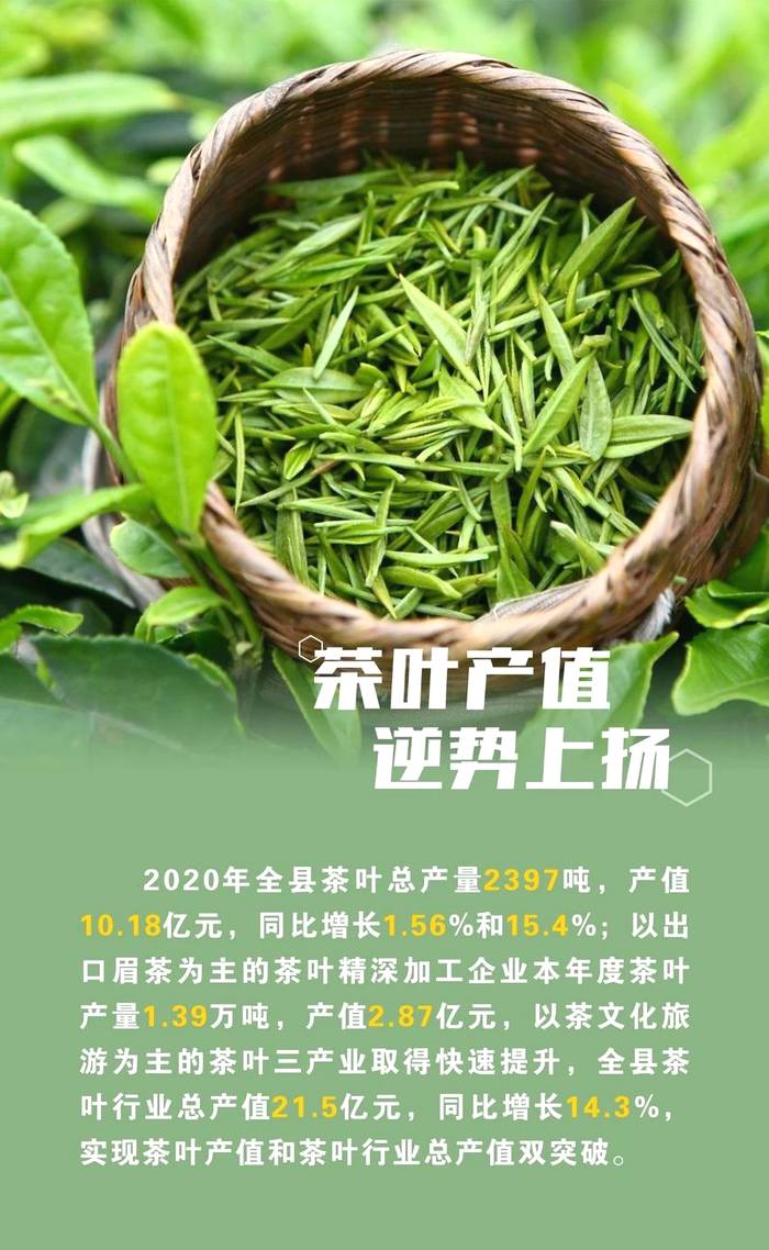 有关于钱源汇聚钱潮涌，开化龙顶开门红，2020开化茶产业十件事的新闻(3)