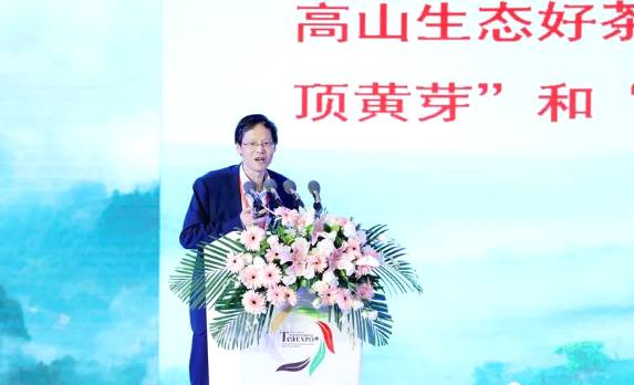 关于蒙顶山·给世界一杯好茶《蒙顶山茶》推介会隆重举行的消息(14)