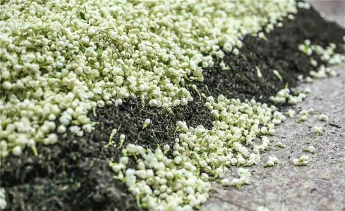 关于习近平察看武夷山春茶长势 1-2月中国茶叶进出口数据 茶产业数字化的热门消息(3)