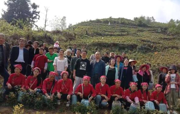 关于毕节市茶产业科技创新人才团队专家现场指导群众采茶的热门信息