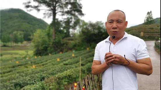 关于文旅+茶旅 福建武夷山写出“乡村振兴”好文章的最新消息(1)