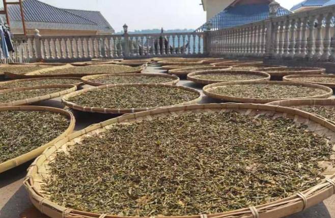 有关于老班章96号茶农李向荣：古树茶带来好日子的最新资讯(1)