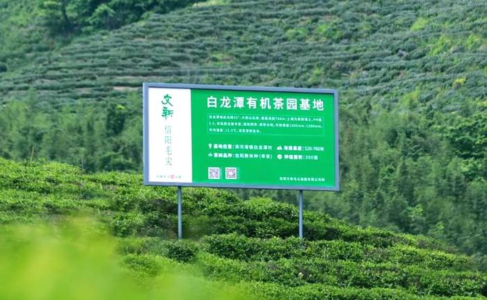 有关于每一片文新茶叶,都有属于自己的生态茶园的热门资讯(7)