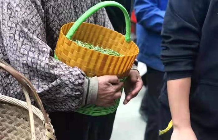 关于福鼎：鹳鸟山白茶全方位扶持茶农 助力乡村振兴的信息