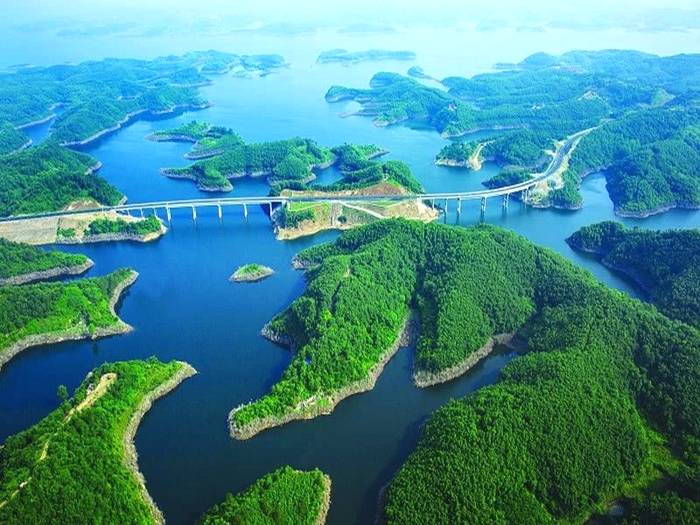 关于随州茶产业出口“四个对策”，重塑神农茶祖历史品牌的信息