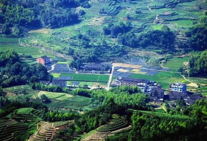 关于工业现代化带动农业智能化,福鼎茶产业集群呈规模化发展的热门资讯(5)