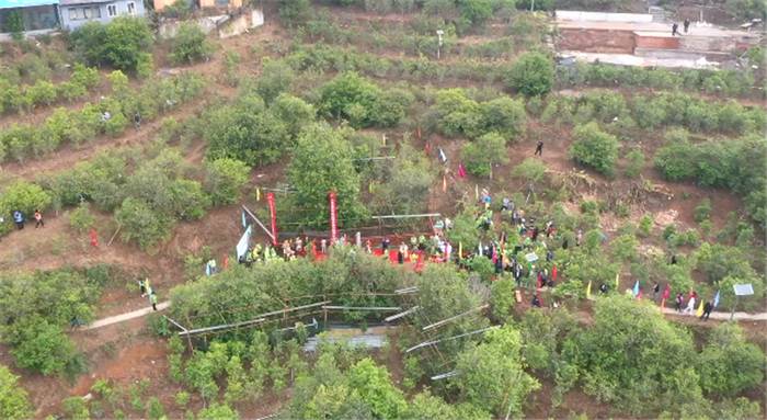 关于一周速读：2021全国春茶产销情况、凤庆35.6万亩茶园同步开采、蒙顶山茶价值40亿的最新资讯(3)