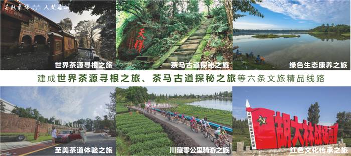 有关于雅安名山：创建天府旅游名县 一片茶叶富裕一方百姓的最新信息(18)