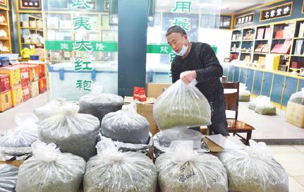 关于阳春三月，2021年的早春茶部分地区开始迎来了采摘的最新信息(3)