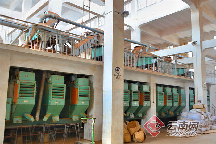 关于云南昌宁:一组数字,解开茶业腾飞“密码本”的信息(2)