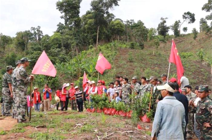 关于““锦秀茶尊”保护性开采”“中国茶叶区域公用品牌价值评估”“茶王“贡牛”1.2万/kg的最新信息(6)