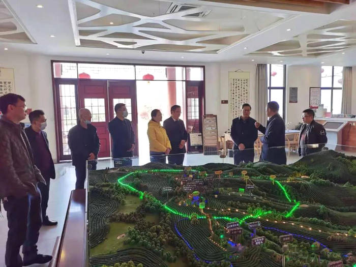 有关于宜昌市农业农业局领导专家考察名山茶产业的最新消息