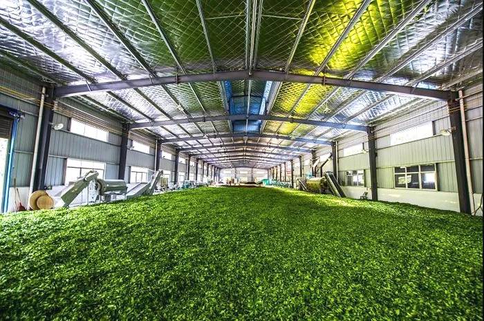 关于“晒怏焙干”，打造张家界又一闪亮名片——桑植白茶的热门资讯(8)