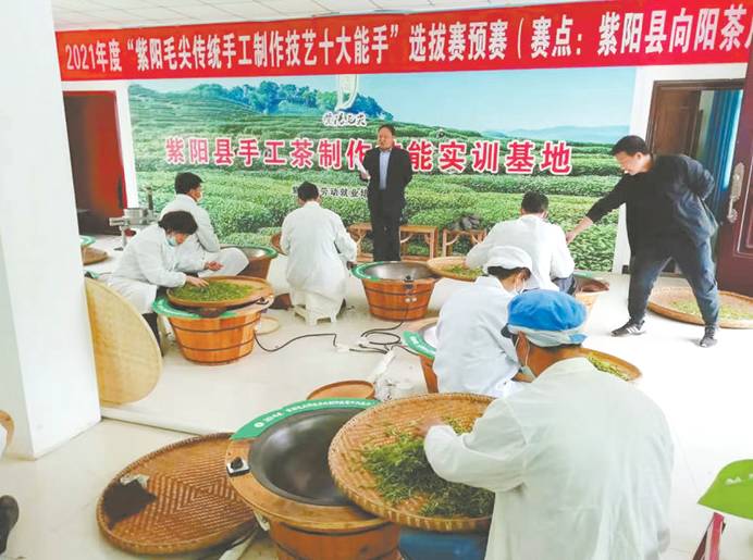 有关于千年茶乡展新颜 地标助力强品牌  紫阳茶产业蓬勃发展背后的“地标力量”的最新资讯(1)