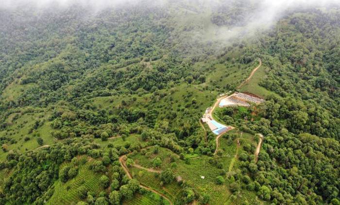 关于绿色云茶破千亿 云茶产业如何继续健康良性发展?的消息(2)