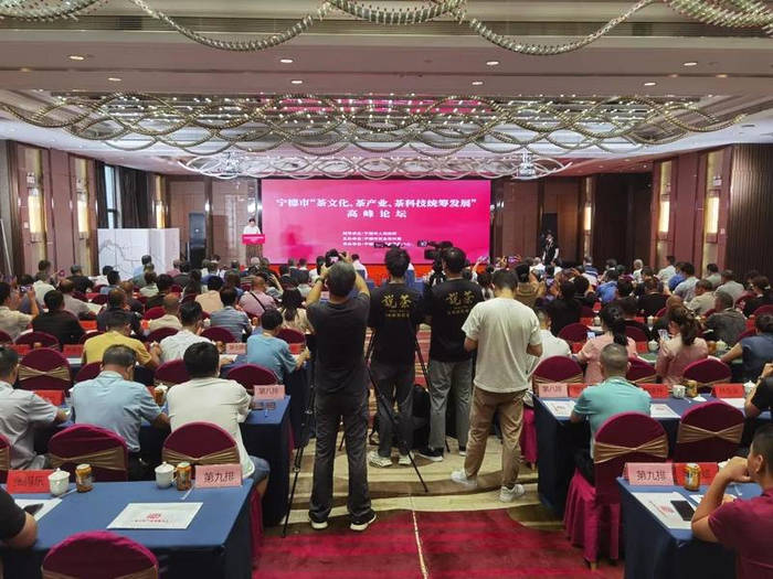 关于“云南普洱联姻安化黑茶”“专家首次聚首宁德话'三茶'”“普洱茶行业的下一个红利期”的(4)