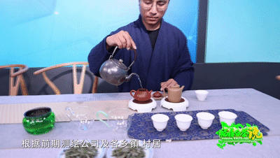 关于《福鼎白茶说》—— 福鼎白茶大数据溯源来了的最新信息(9)