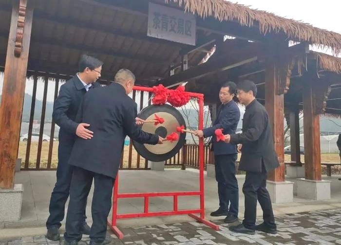 有关于浙江开化：茶香季 致富季 池淮茶青交易市场正式开市啦！的信息