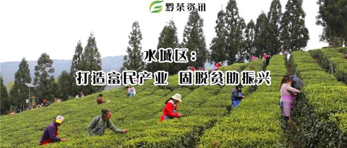 关于六盘水市水城区：打造富民产，固脱贫助振兴的热门消息