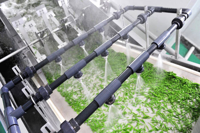 有关于湖北宜昌:萧氏“无人工厂”开机 喜提今春首批香茶的消息(1)