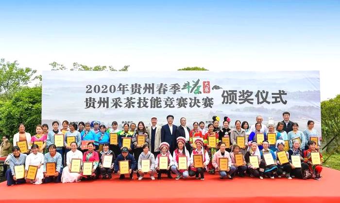 有关于双手采出致富叶！贵州省大力推广双手采茶成效显著的热门消息(8)