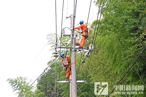 有关于国网平阳县：护航“全电制茶” 为守护绿水青山贡献力量的信息