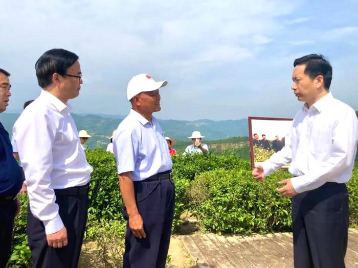 关于“国际茶日”分会场活动在安康平利举办,省长赵一德出席并致辞!的最新资讯(4)
