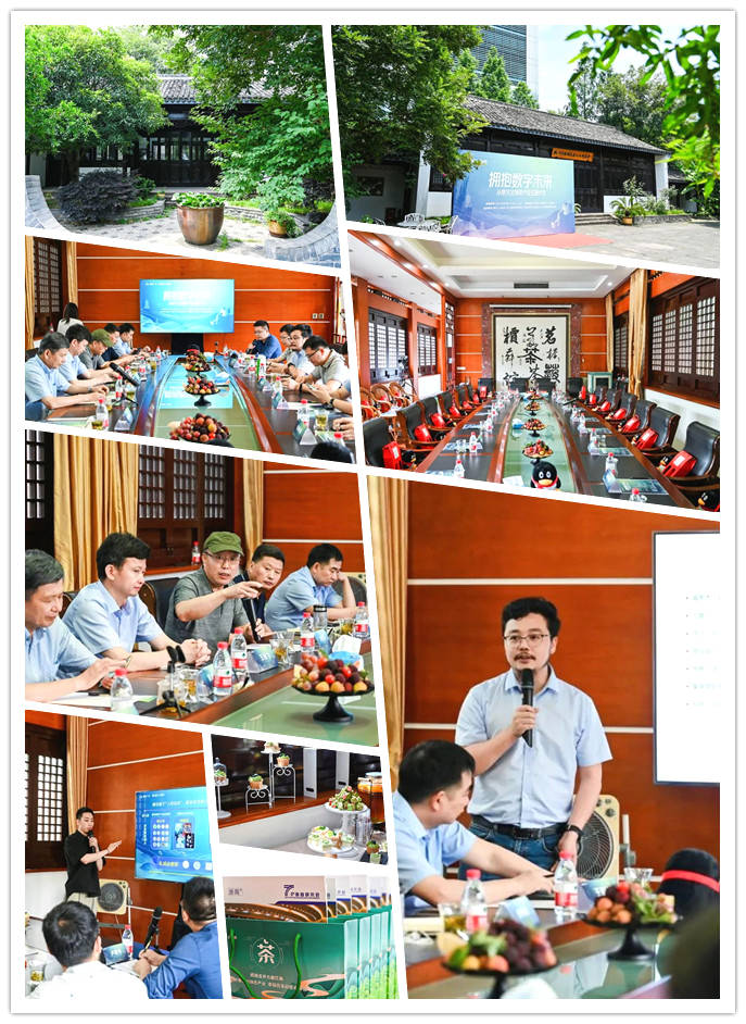 有关于茶业如何拥抱数字未来?推动茶叶全生命周期数字化 茶产业沙龙在杭举行的最新消息