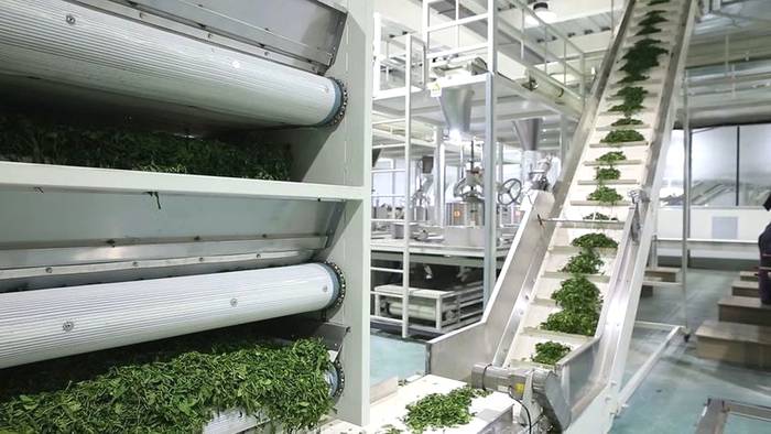 关于浙江省第一条数字化名优茶加工生产线投产 迈入“看数字制茶”时代的热门新闻(1)