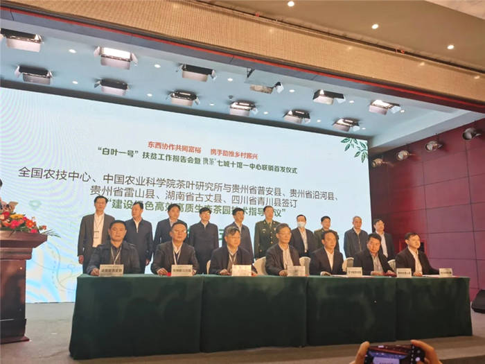 有关于“携茶白叶一号”联销首发助力“三省五县”乡村振兴的热门消息(11)