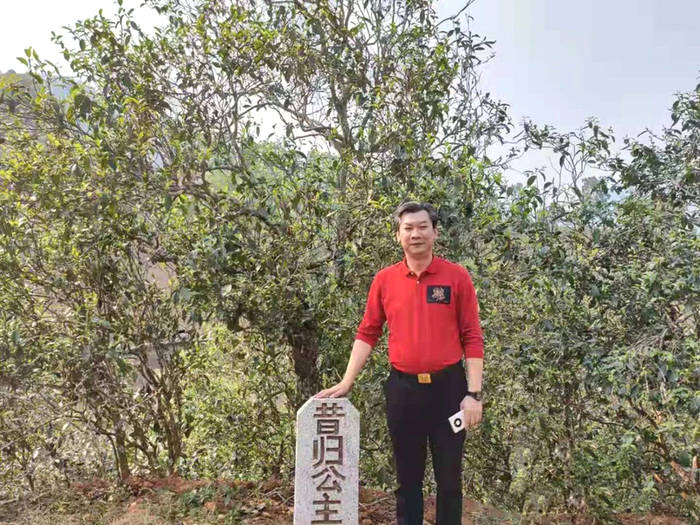 有关于数字 生态茶园概念诞生 足不出户可掌握茶树生长情况的热门信息(7)