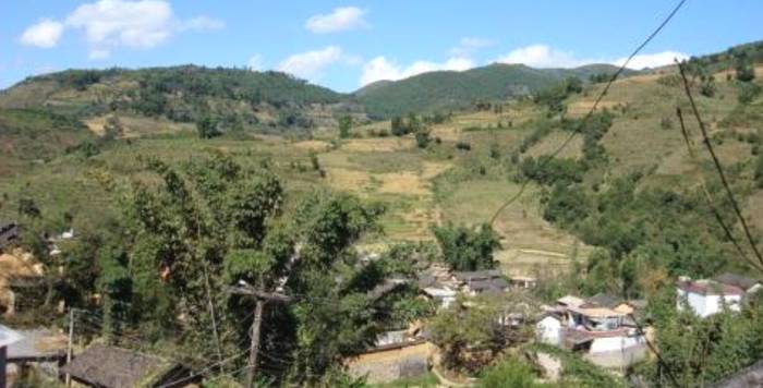 关于茶房乡：干群齐力谋发展 革命老区展新颜的消息