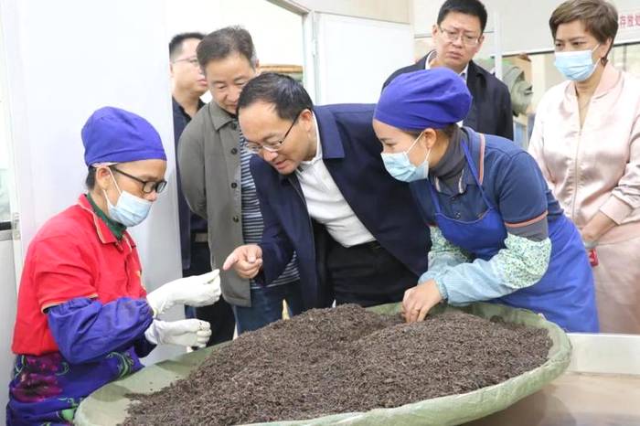 有关于郑艺前往勐海县专题调研茶产业发展 构建西双版纳普洱茶产业新格局的资讯(1)