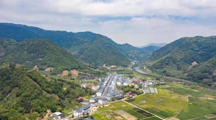 关于工业现代化带动农业智能化,福鼎茶产业集群呈规模化发展的热门资讯(4)