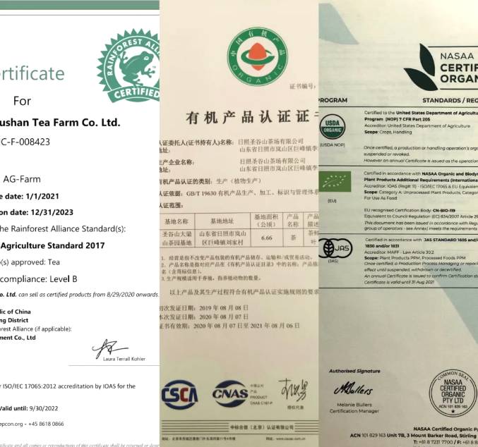 有关于日照春茶开采！今年产量怎样？啥时候上市？的信息(10)