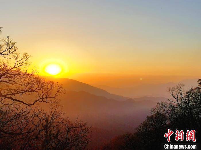 关于安徽金寨大湾村：茶旅融合发展拓宽小康路的消息(2)