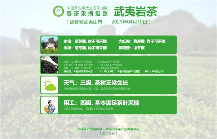 有关于大佛龙井告别本季春茶采摘指数，黄观音中开面！的信息(5)