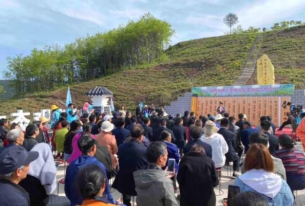 有关于第二届陕西网上茶博会走进镇巴长岭望月 一片叶子富一方百姓的最新消息