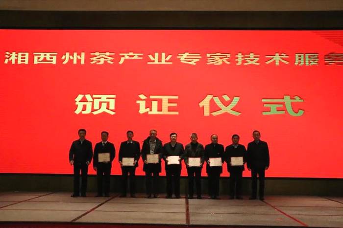 关于2020年湘西州茶产业高质量发展论坛在吉首举行的热门信息(1)