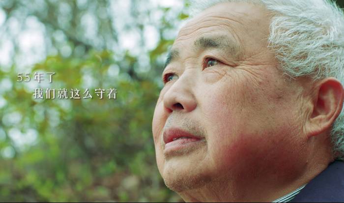 关于河南省光山县全国有机农产品（茶）基地：茶园到茶杯，皆为这一品的热门新闻(9)