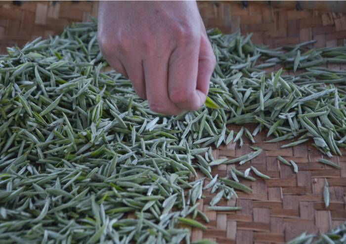 有关于湖南又添19项国家级非遗项目 黄茶制作技艺上榜的信息(2)