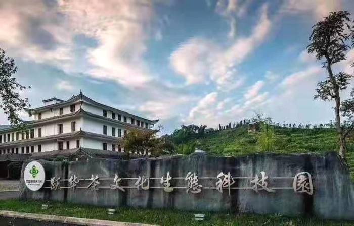 有关于四川省茶叶行业协会一行赴四川蒙顶山跃华茶业集团有限公司调研的最新消息(4)