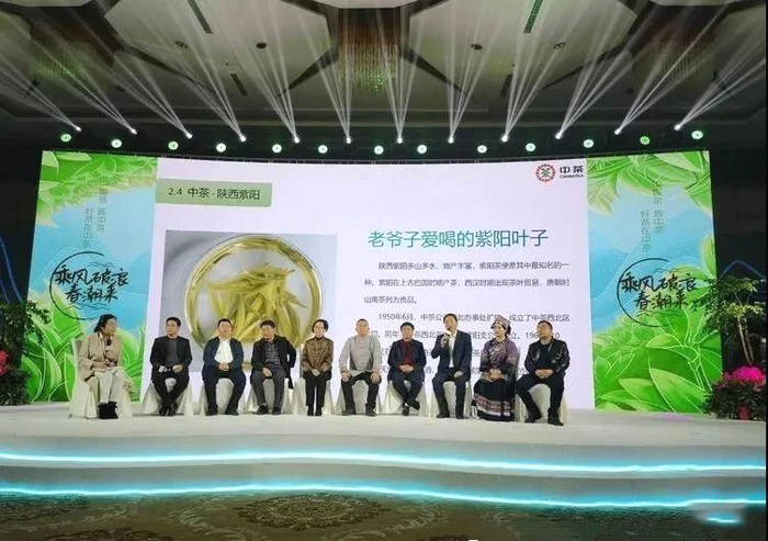 有关于紫阳富硒茶精彩亮相2021中茶绿茶发布会的资讯(6)