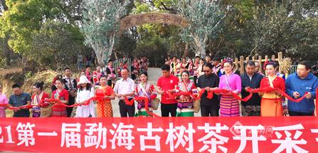 有关于2021年第一届勐海古树茶开采节系列活动之——走进勐海古茶山的资讯