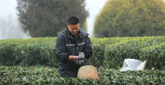 有关于雅安海棠村：穿越茶乡古镇 追逐大地掌纹的消息(6)