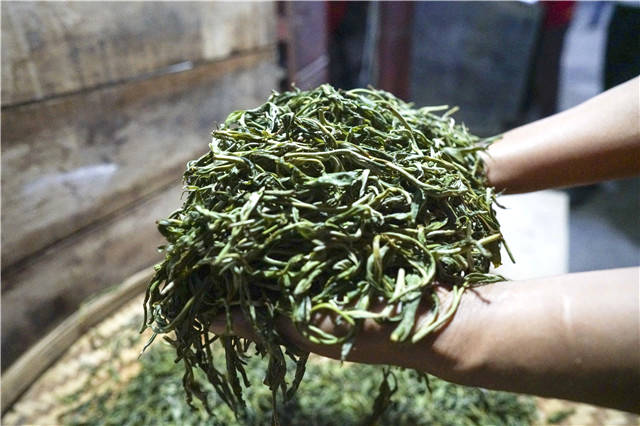 有关于一周热门：各地茶王树开采、整治毁林种茶、武汉茶博会即将启幕的热门资讯(9)