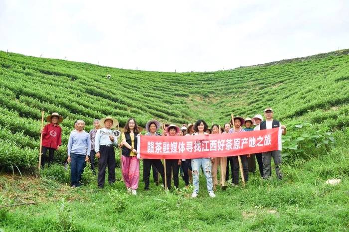 关于带你寻遍江西好茶，赣茶 · 年终回顾系列之一 · 寻茶记的新闻(15)