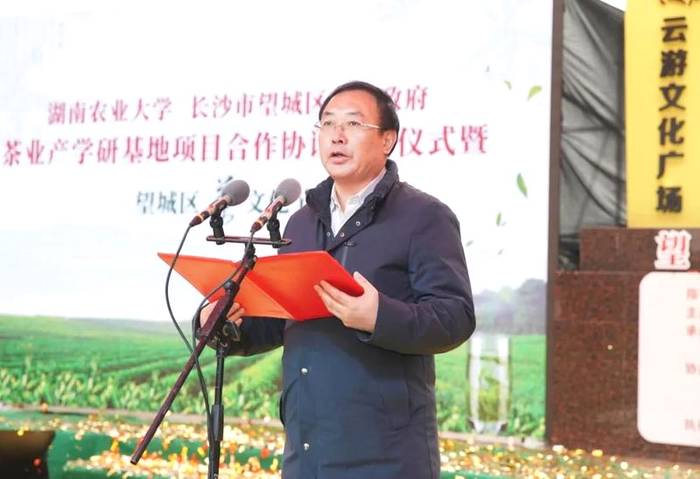 有关于湖南农业大学与望城区茶业产学研基地合作项目签约的资讯(10)