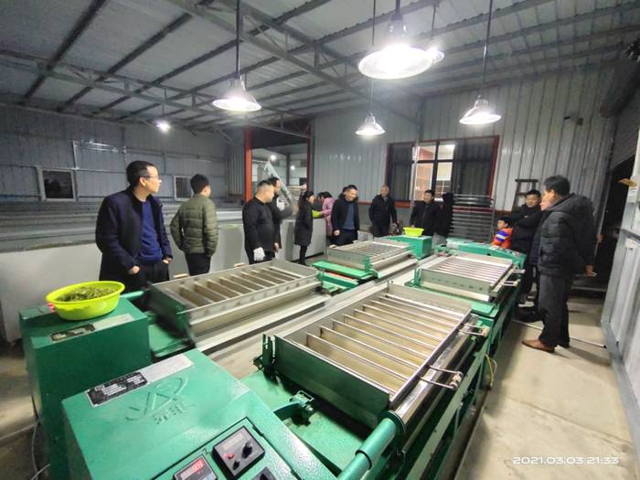 有关于桐城市茶叶发展中心、茶业协会积极指导春茶生产的热门新闻(1)