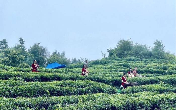 有关于温大“音乐党课”在泰顺东溪开讲，茶音悠扬振兴乡村的新闻(1)